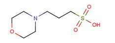 3-(4-Morpholino)propane Sulfonic Acid(MOPS)(CAS:1132-61-2)