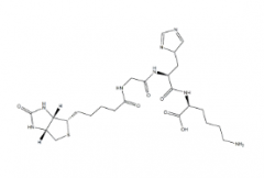 Biotinoyl Tripeptide-1(CAS:299157-54-3)