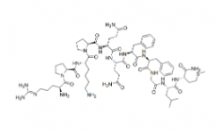 Substance P(CAS:33507-63-0)