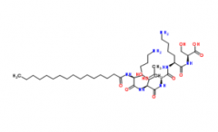 Palmitoyl Pentapeptide-4(CAS:214047-00-4)