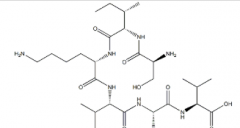 Hexapeptide-10(CAS:146439-94-3)