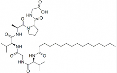 Palmitoyl Hexapeptide(CAS:171263-26-6)