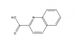2-Quinolinecarboxylic Acid(CAS:93-10-7)