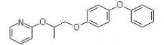Pyriproxyfen(CAS:95737-68-1)