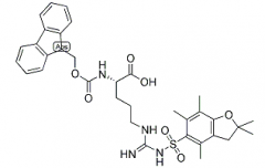 FMOC-L-Arg(Pbf)-OH(CAS:154445-77-9)