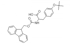 FMOC-L-Tyr(tBu)-OH(CAS:71989-38-3)