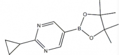 2-Cycloropyl-5-(4,4,5,5-Tetramethyl-1,3,2-Dioxaborolan-2-yl)pyrimidine(CAS:1375301-91-9)