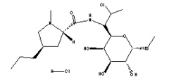 Clindamycin Hydrochloride(CAS:21462-39-5)