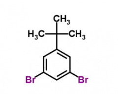 1,3-Dibromo-5-Tert-Butylbenzene(CAS:129316-09-2)