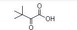 Trimethylpyruvic Acid(CAS:815-17-8)