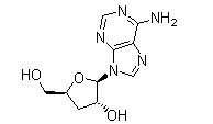 3'-Deoxyadenosine(CAS:73-03-0)