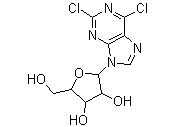 2,6-Dichloropurine Ribose(CAS:13276-52-3)