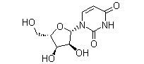 Arabinofuranosyluracil(CAS:3083-77-0)