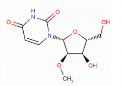 2'-Methyoxy Uridine(CAS:2140-76-3)