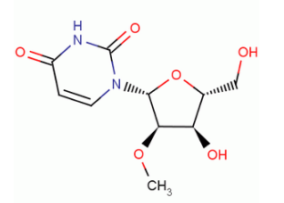 2'-Methyoxy Uridine(CAS:2140-76-3)