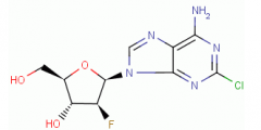 Clofarabine(CAS:123318-82-1)