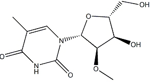 5-Methyl-2'-Methyoxy Uridine(CAS:55486-09-4)