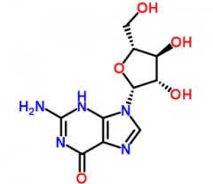 Arabinoguanosine(CAS:38819-10-2)