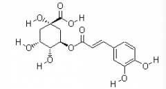 Chlorogenic Acid(CAS:327-97-9)