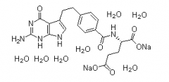 Pemetrexed Disodium(CAS:357166-29-1)