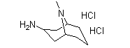 Endo-3-Amine-9-Methyl-9-Azabicyclo[3,3,1]nonane Dihydrochloride(CAS:135906-03-5)