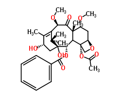 Docetaxel Protective Matter(CAS:114915-14-9)