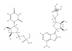 Polyruidylic Acid Sodium Salt(CAS:24936-38-7)