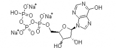 Inosine 5'-Triphosphate Disodium Salt(CAS:35908-31-7)