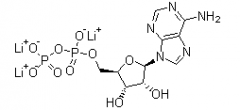 Adenosine 5'-Diphosphate Trilithium Salt(CAS:31008-64-7)