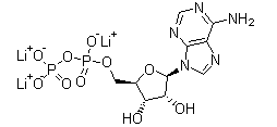 Adenosine 5'-Diphosphate Trilithium Salt(CAS:31008-64-7)