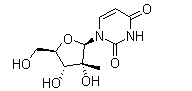 2'-C-Methyluridine(CAS:31448-54-1)