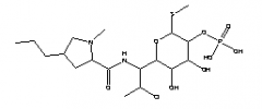 Clindamycin Phosphate(CAS:24729-96-2)