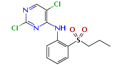 2,5-Dichloro-N-(2-(Isopropylsulfonyl)phenyl)pyrimidin-4-Amine(CAS:761440-16-8)