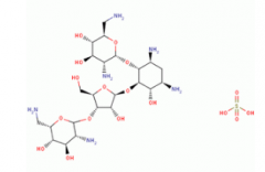 Neomycin Sulphate(CAS:1405-10-3)
