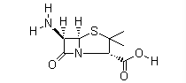 6-Aminopenicllanic Acid(CAS:551-16-6)