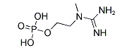 Creatinol Phosphate(CAS:6903-79-3)