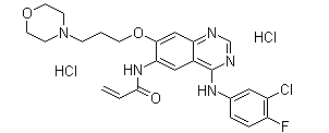 Canertinib 2HCL(CAS:289499-45-2)