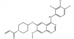 Poziotinib(CAS:1092364-38-9)