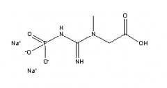 Creatine Phosphate Disodium Salt(CAS:922-32-7)