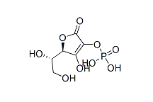 L-Ascorbate-2-Phosphate(CAS:109620-90-8)