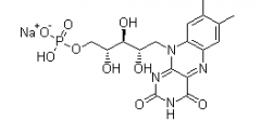 Riboflavin Sodium Phosphate(CAS:130-40-5)