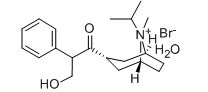 Ipratropium Bromide(CAS:66985-17-9)