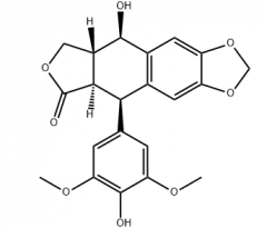 4'-Demethylpodophyllotoxin(CAS:40505-27-9)