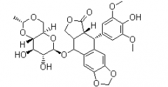 Etoposide(CAS:33419-42-0)