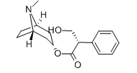Hyoscyamine(CAS:101-31-5)
