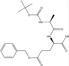 Y-Benzyl Tert-Butoxycarbonyl-L-Alanyl-D-Glutamate(CAS:53759-36-7)