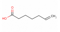 6-Heptenoic Acid(CAS:1119-60-4)