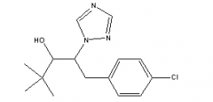 Paclobutrazole(CAS:76738-62-0)