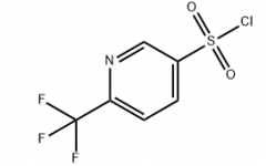 6-(Trifluoromethyl)pyridine-3-Sulfonyl Chloride(CAS:959996-58-8)