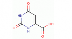 Orotic Acid(CAS:65-86-1)